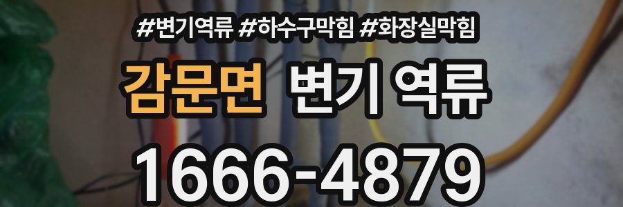 감문면 변기 역류