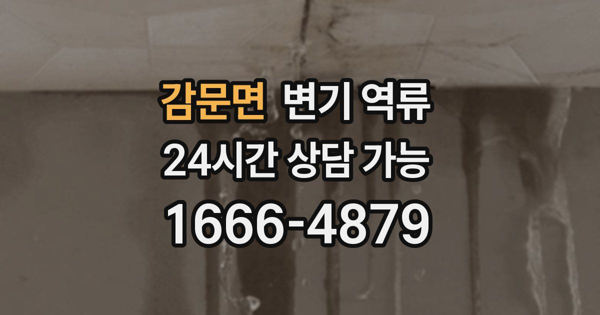 감문면 변기 역류