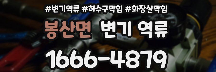 봉산면 변기 역류