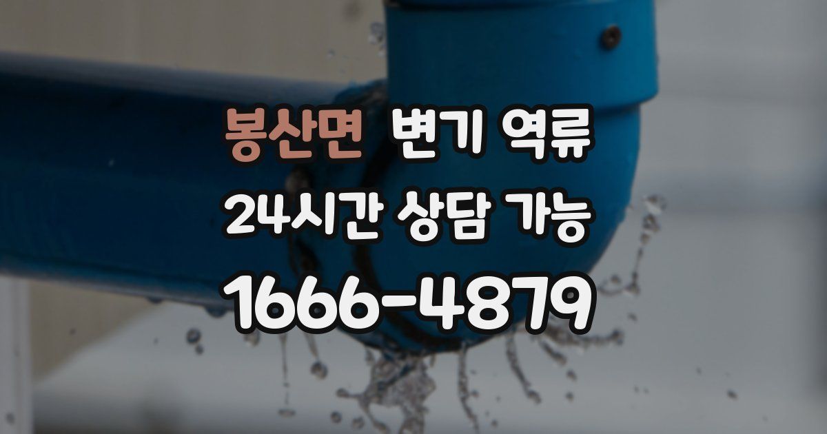 봉산면 변기 역류