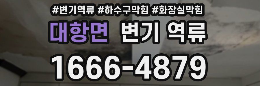 대항면 변기 역류