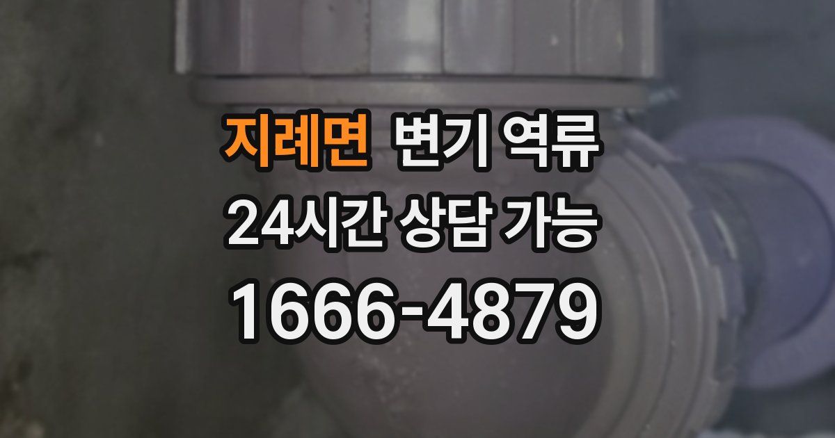 지례면 변기 역류