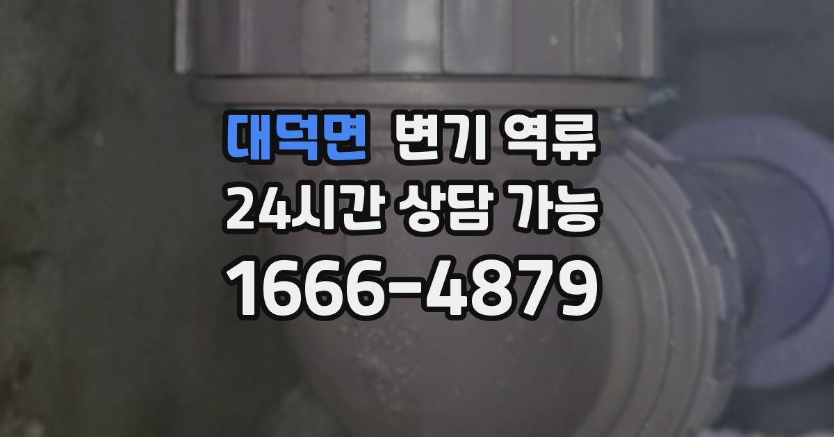 대덕면 변기 역류