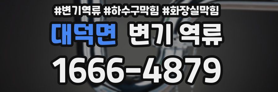 대덕면 변기 역류