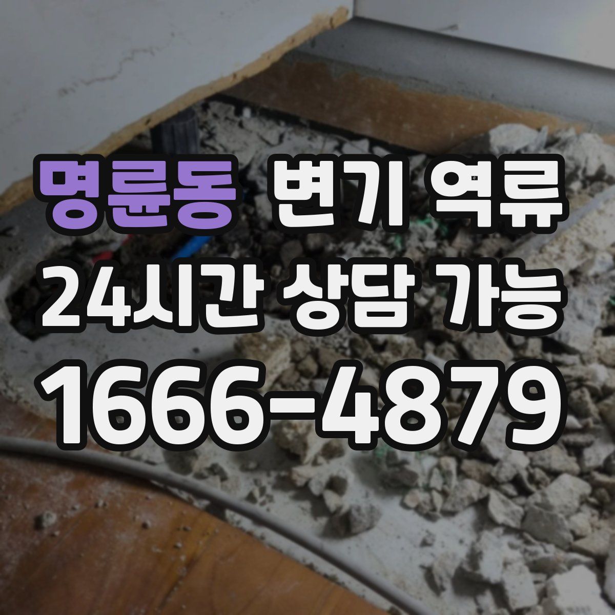 명륜동 변기 역류