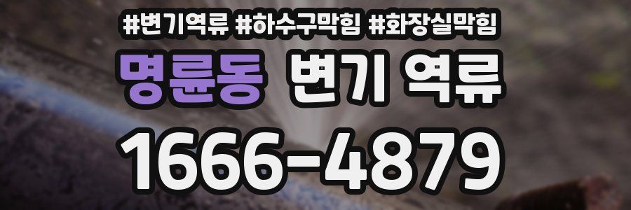 명륜동 변기 역류