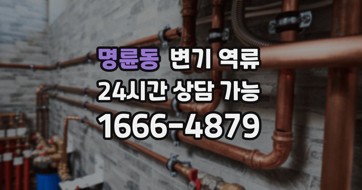 명륜동 변기 역류