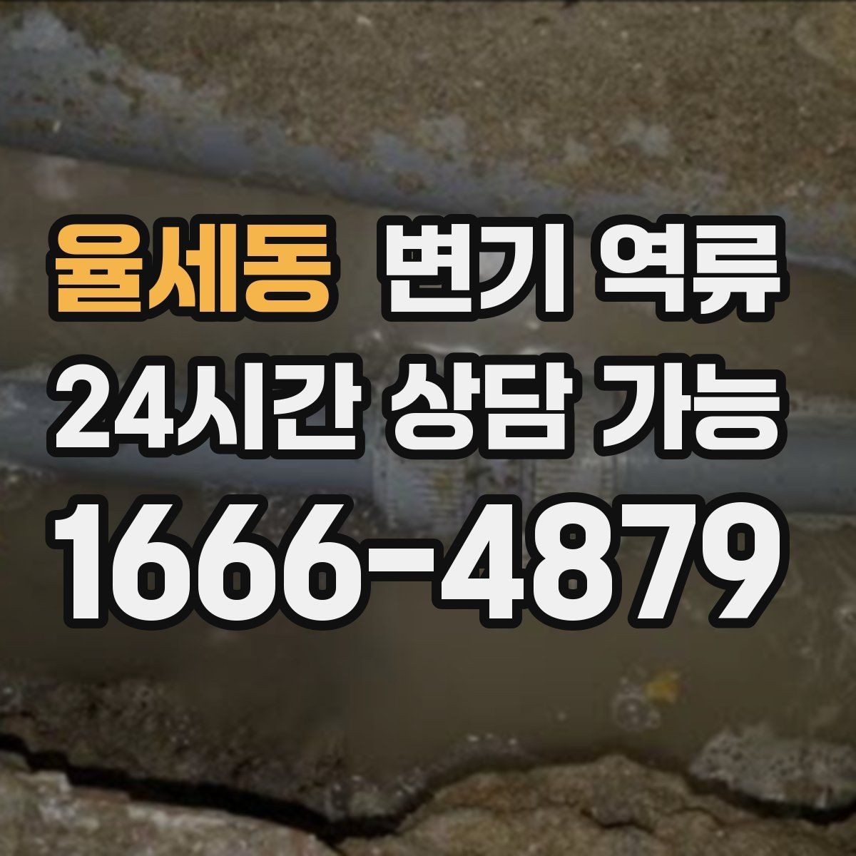율세동 변기 역류 특정 시간대에만 심해지는 이유
