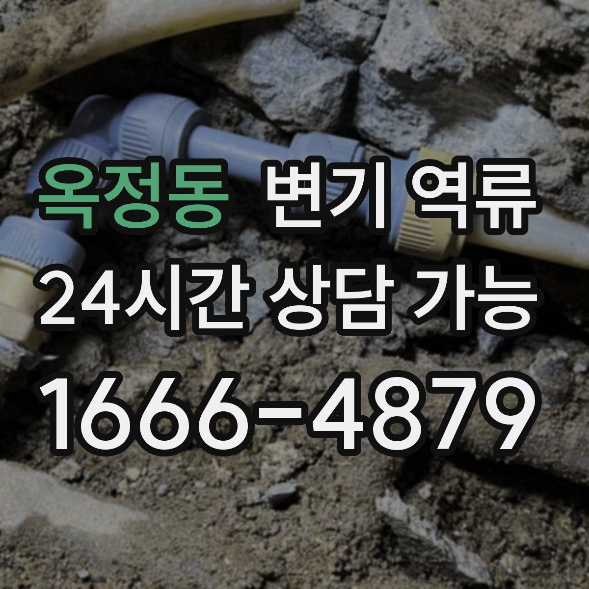 옥정동 변기 역류