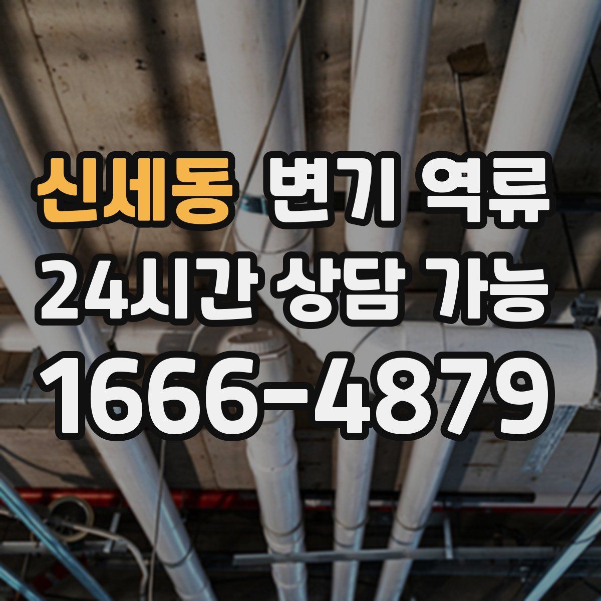 신세동 변기 역류