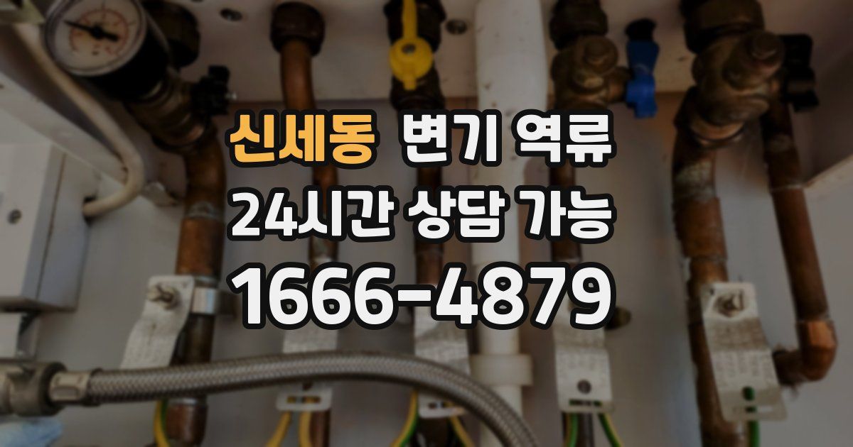 신세동 변기 역류