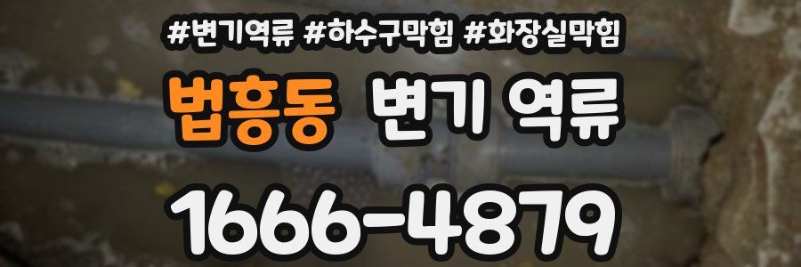 법흥동 변기 역류