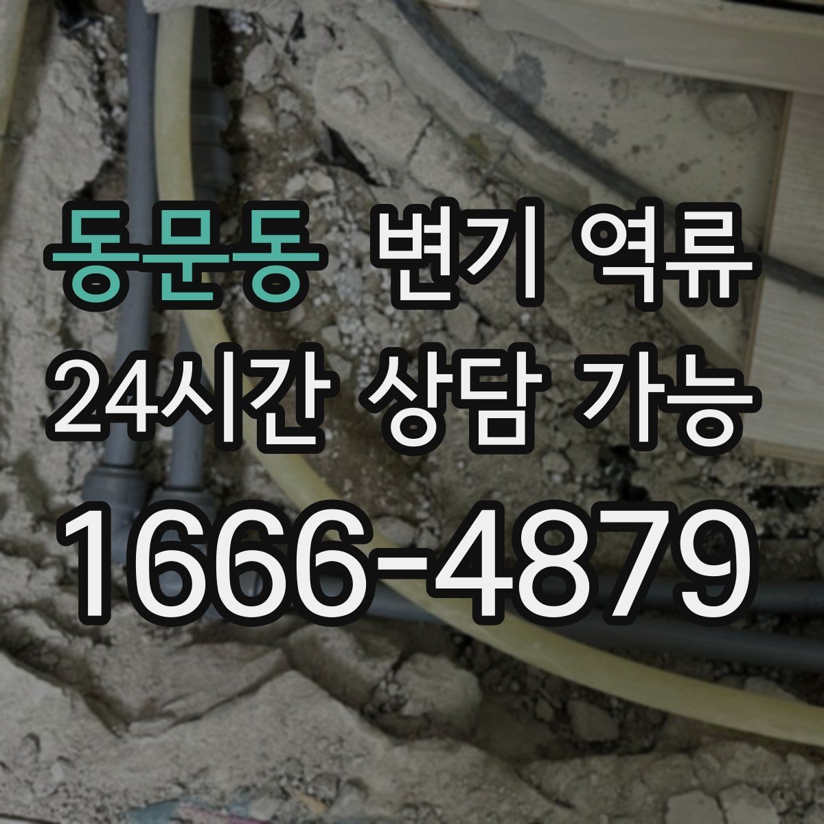 동문동 변기 역류 세대 배관 문제인지 공용 배관 문제인지 구분