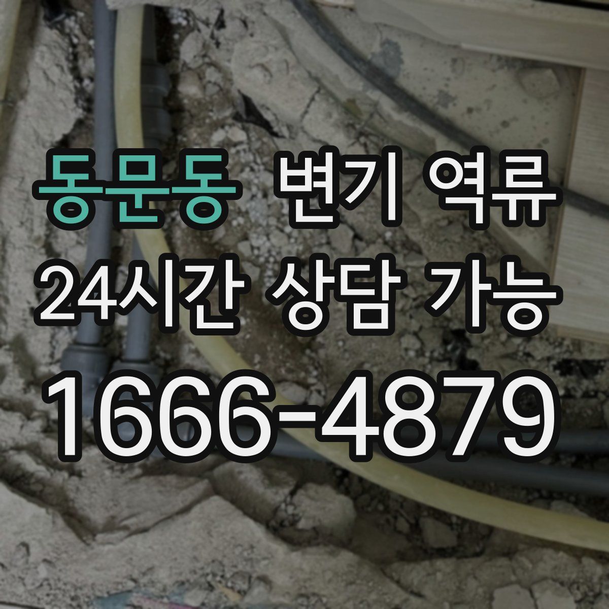 동문동 변기 역류