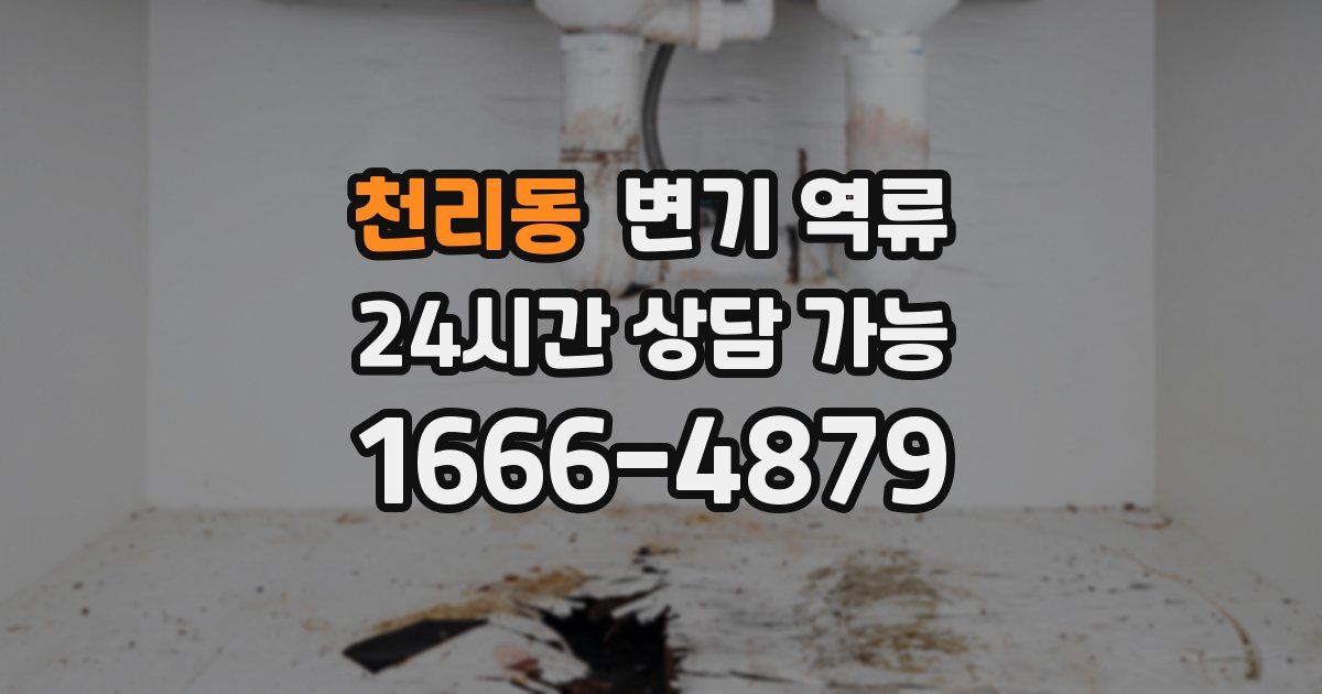 천리동 변기 역류