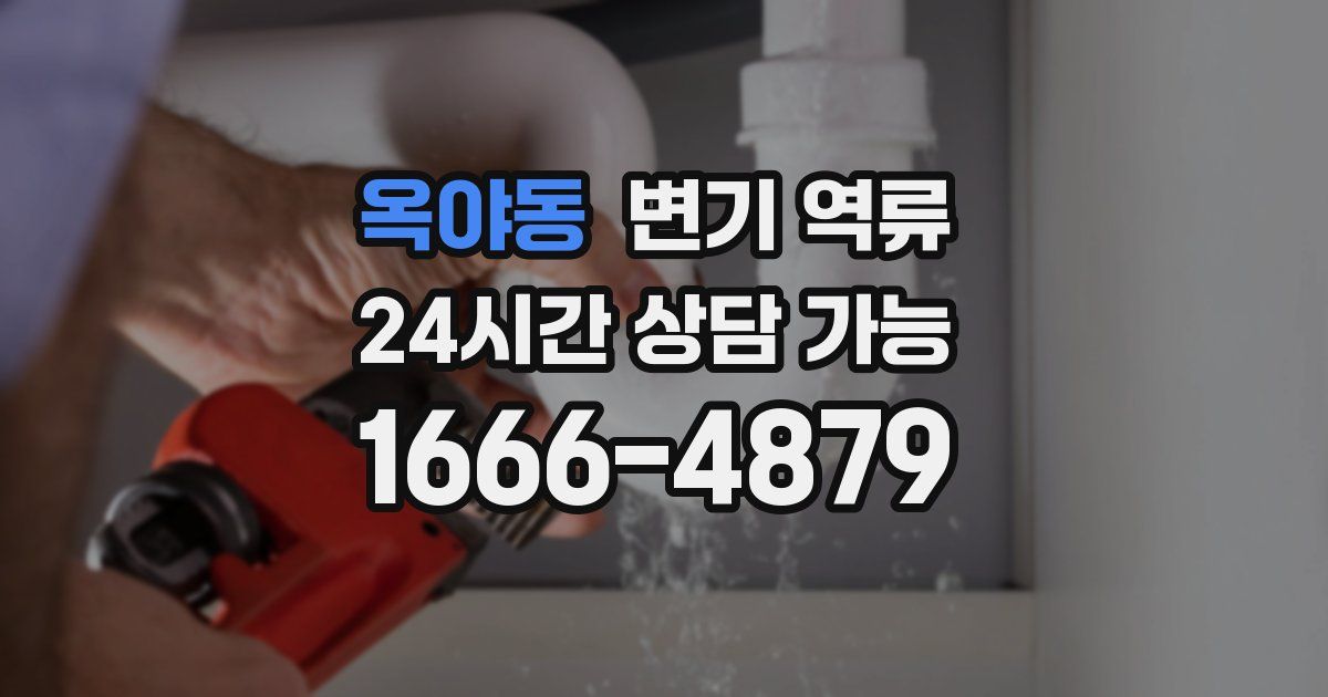 옥야동 변기 역류