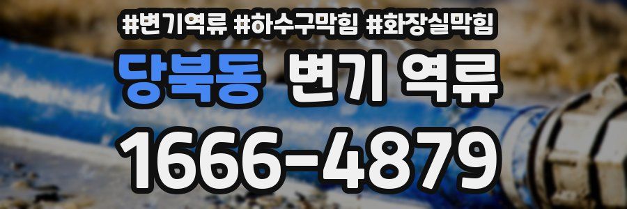 당북동 변기 역류