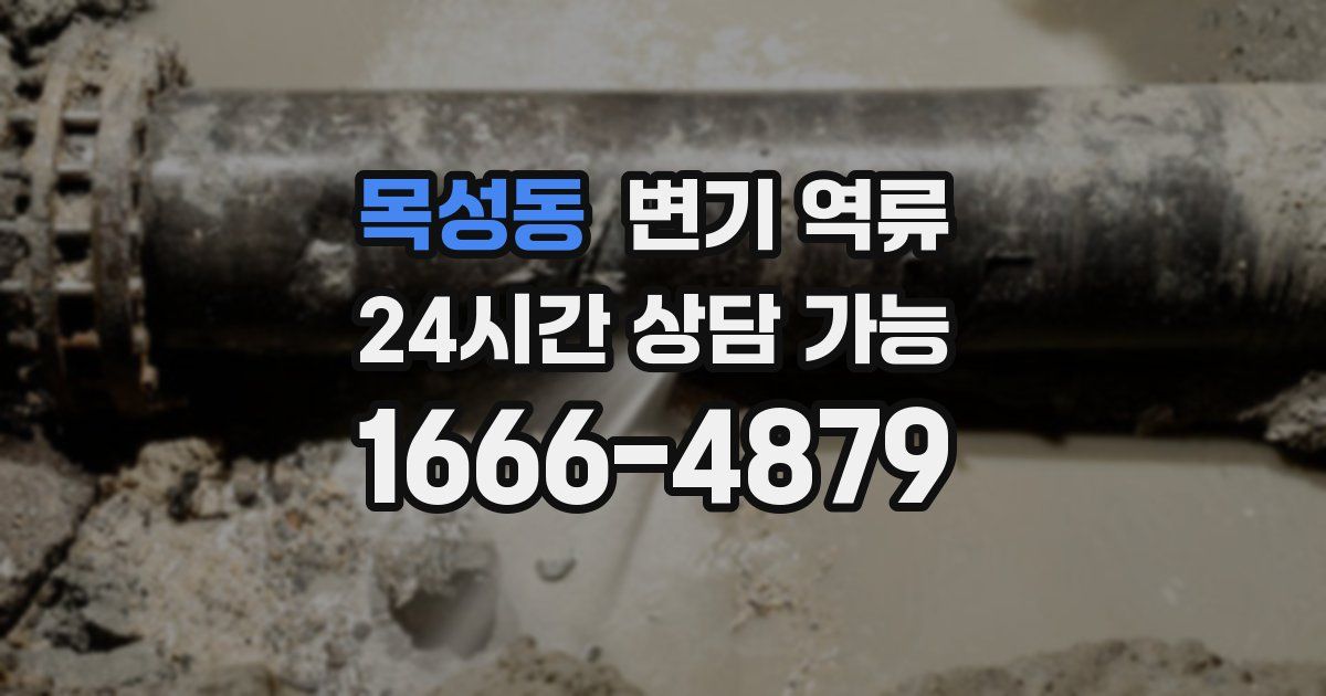 목성동 변기 역류