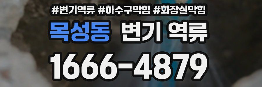 목성동 변기 역류