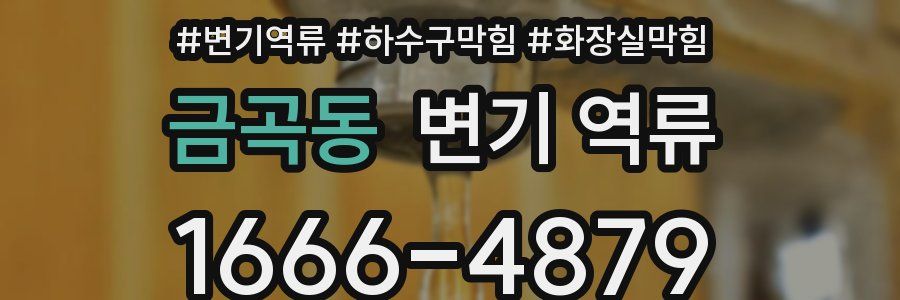 금곡동 변기 역류