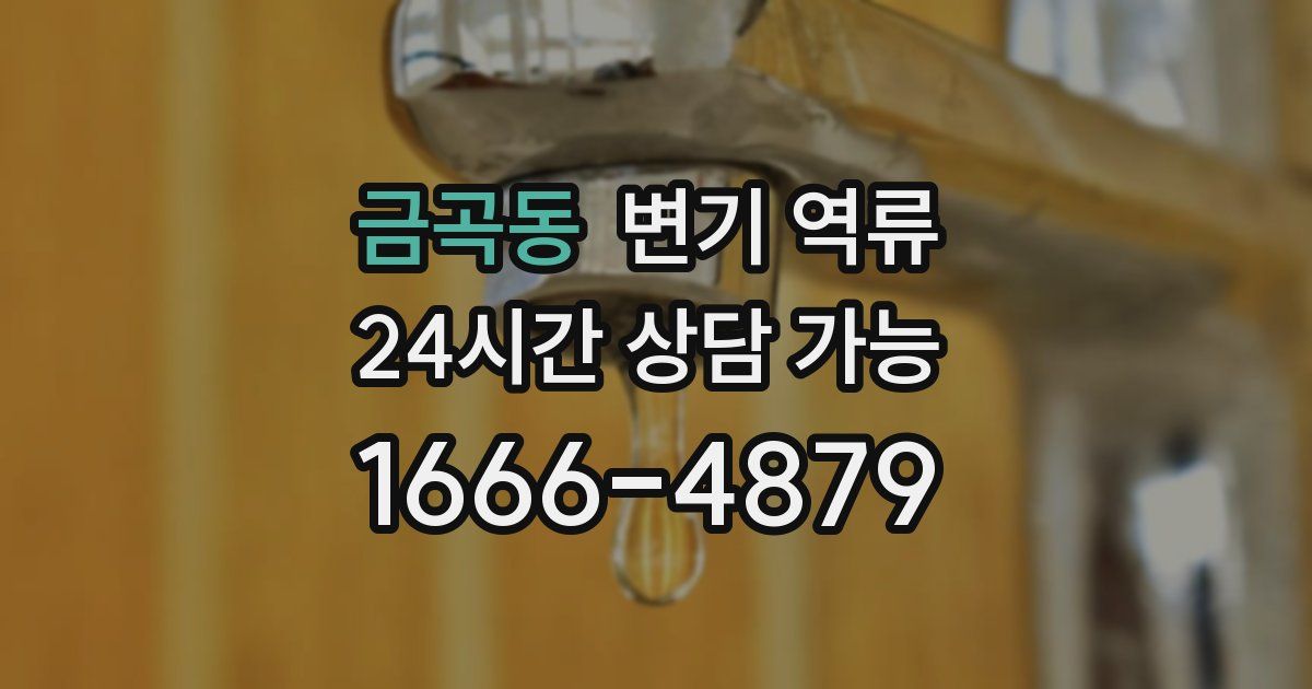 금곡동 변기 역류