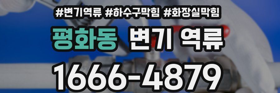 평화동 변기 역류