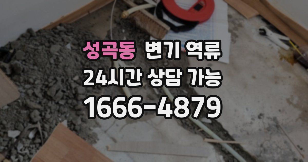 성곡동 변기 역류