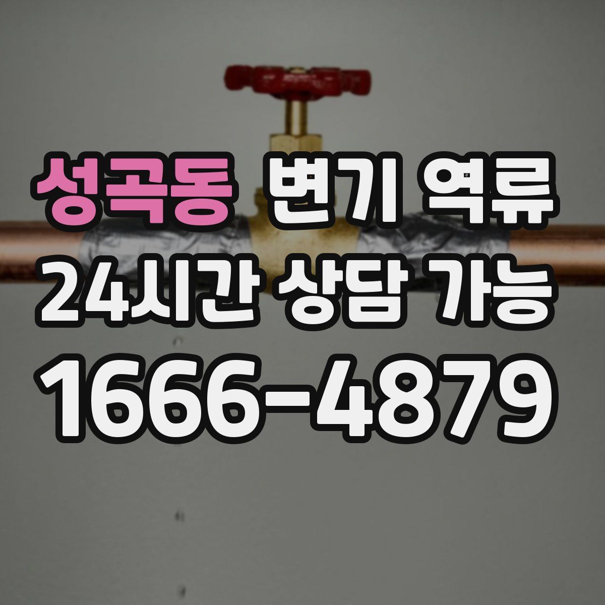 성곡동 변기 역류