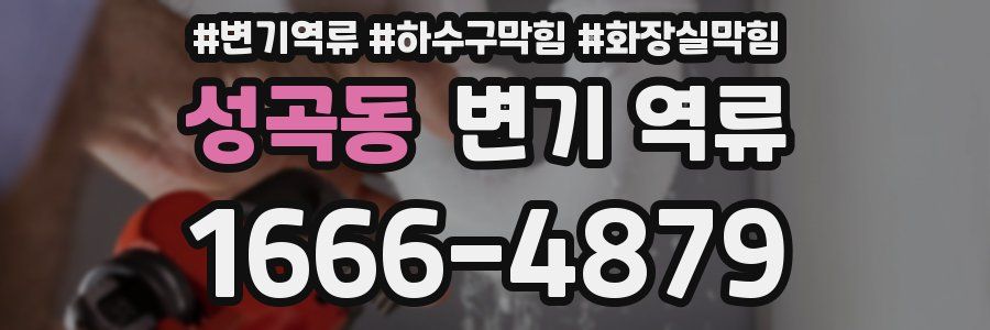 성곡동 변기 역류