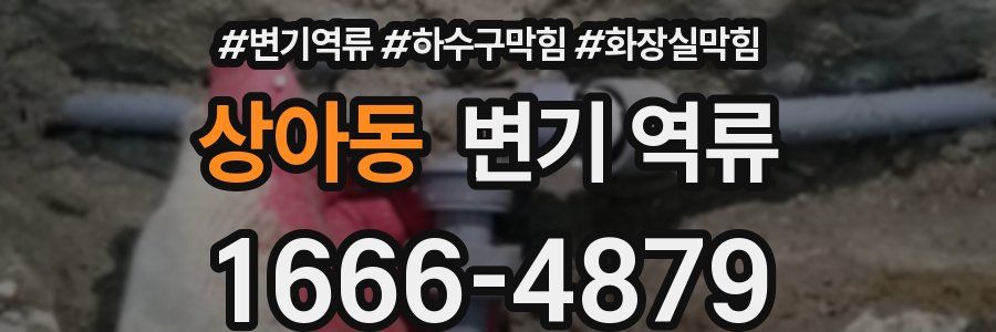 상아동 변기 역류