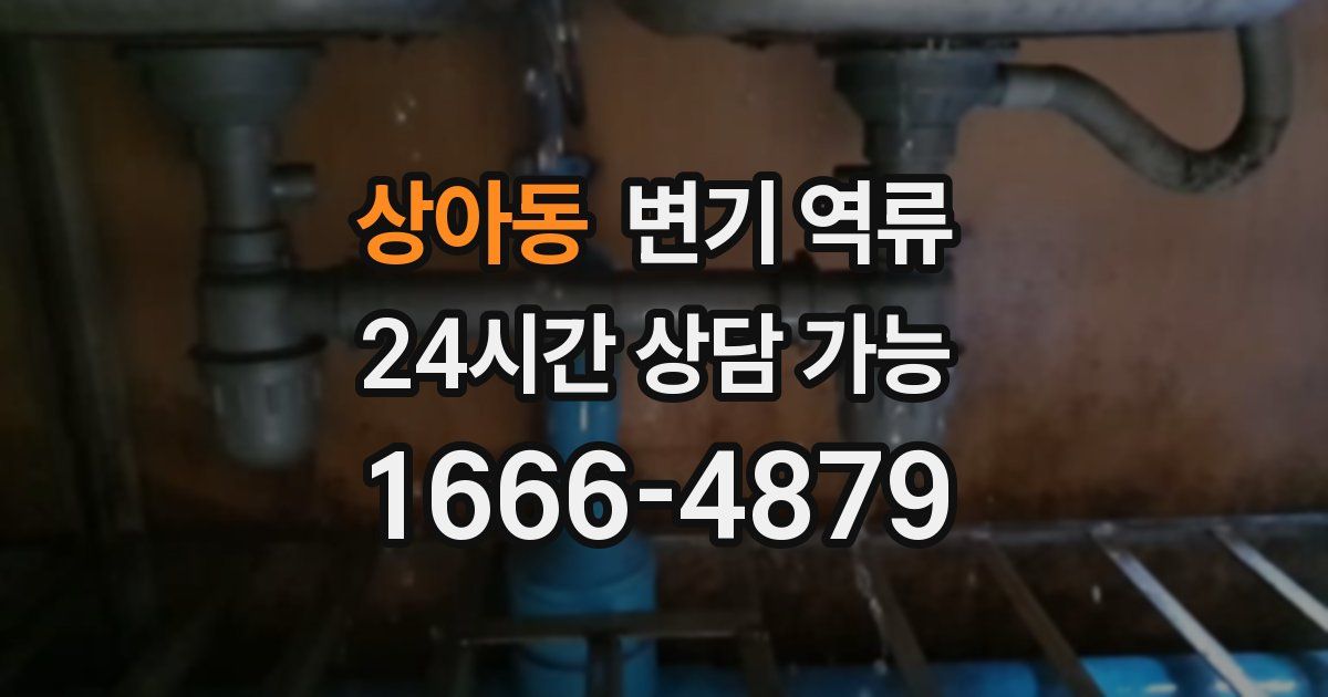 상아동 변기 역류
