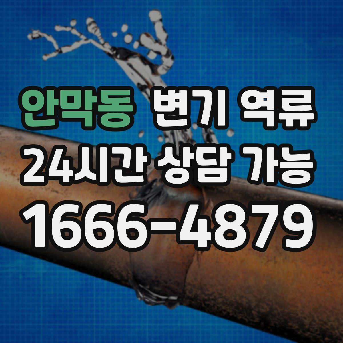 안막동 변기 역류