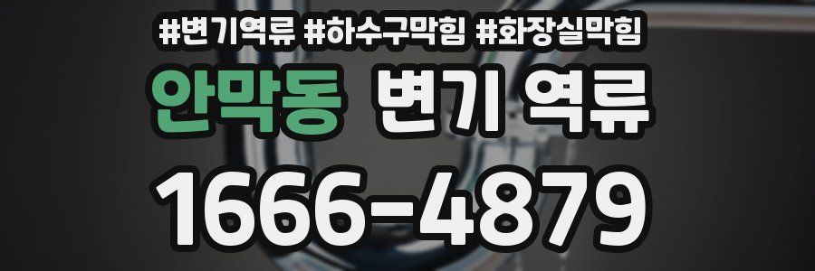 안막동 변기 역류