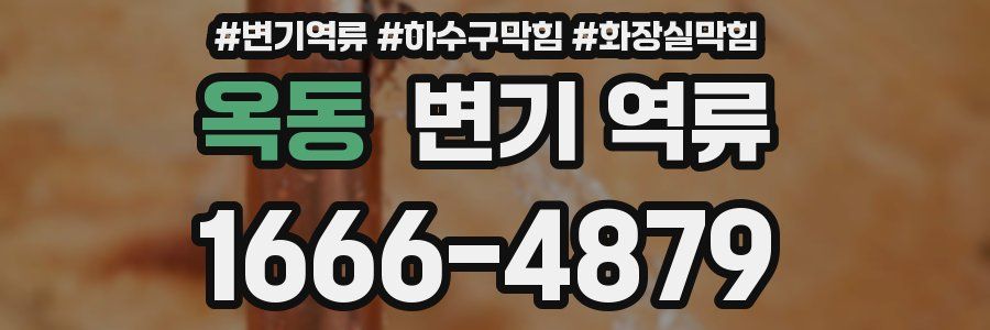 옥동 변기 역류