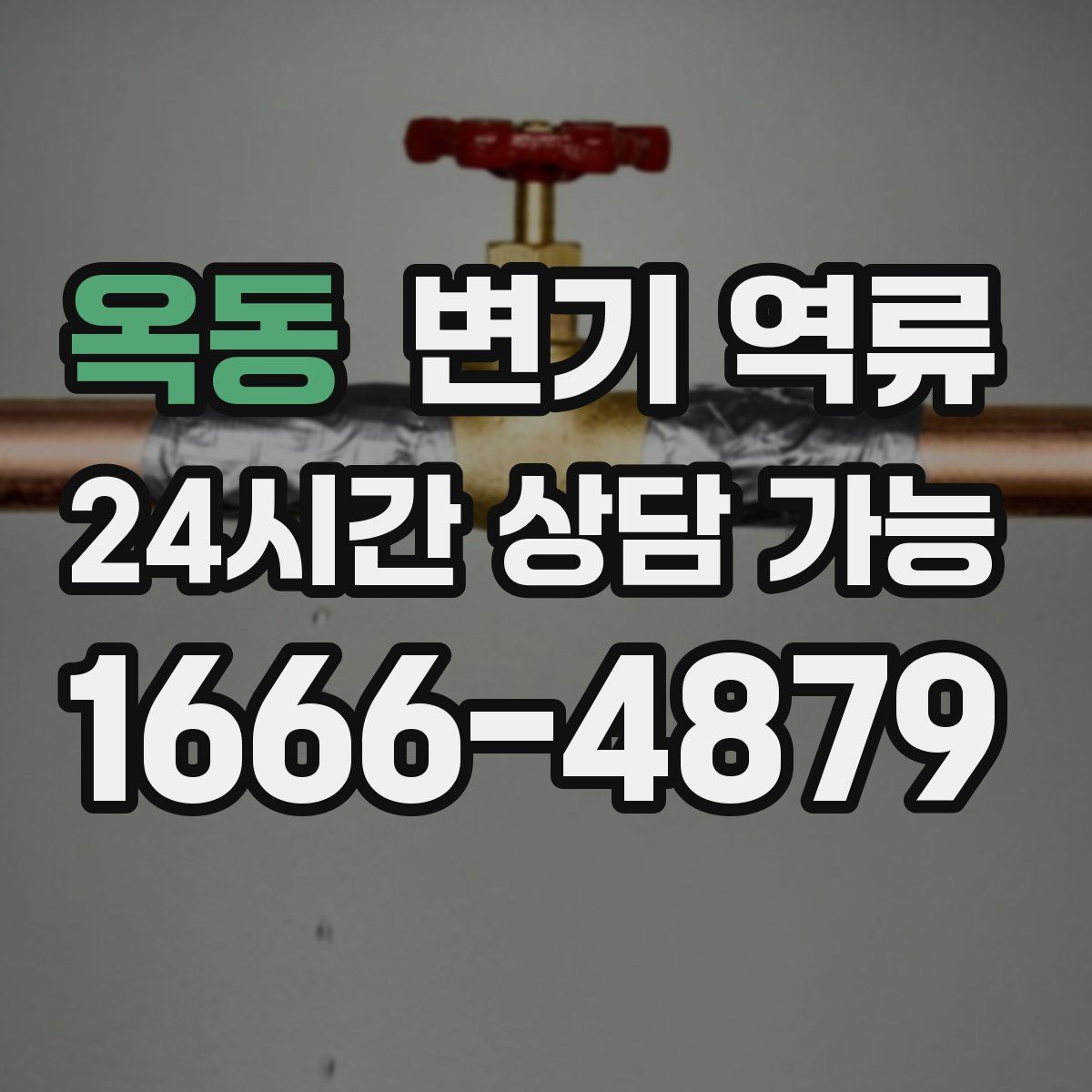 옥동 변기 역류