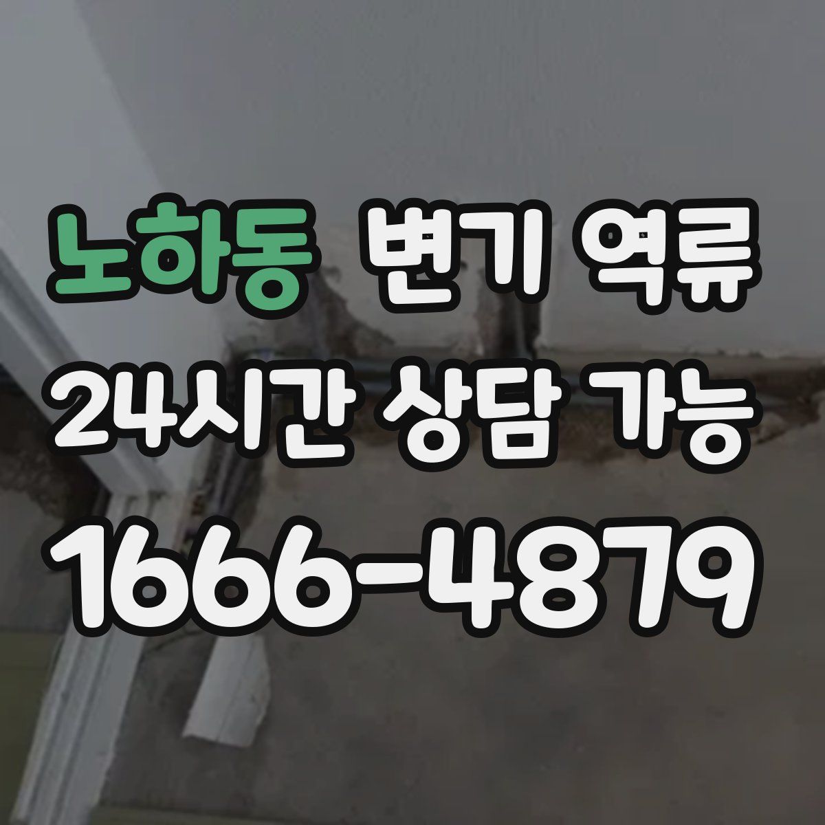 노하동 변기 역류