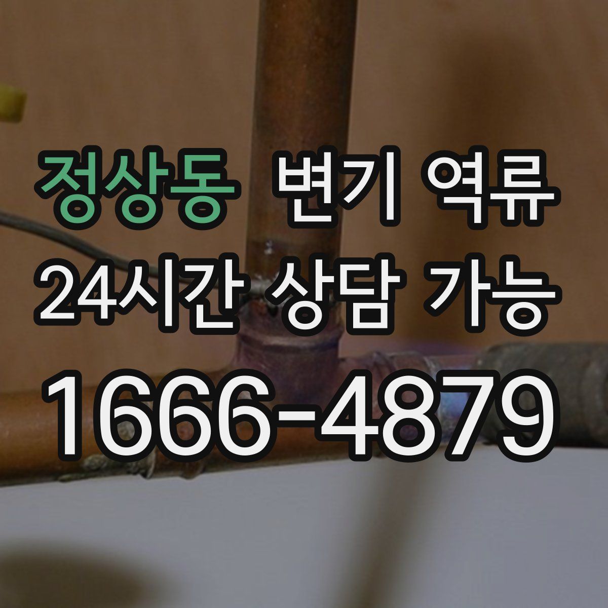 정상동 변기 역류