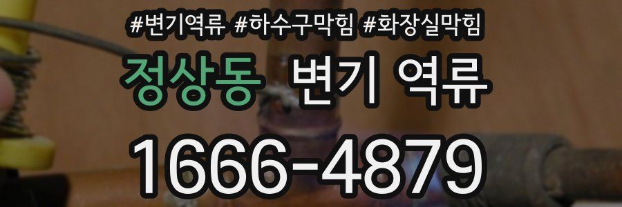 정상동 변기 역류