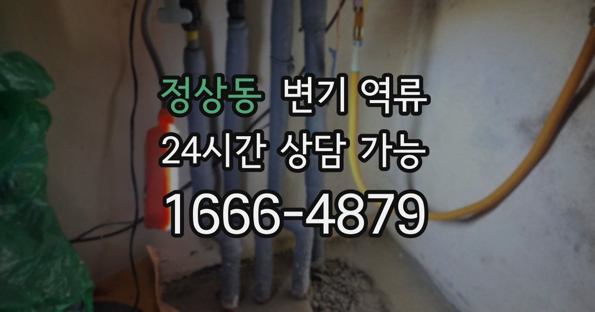 정상동 변기 역류