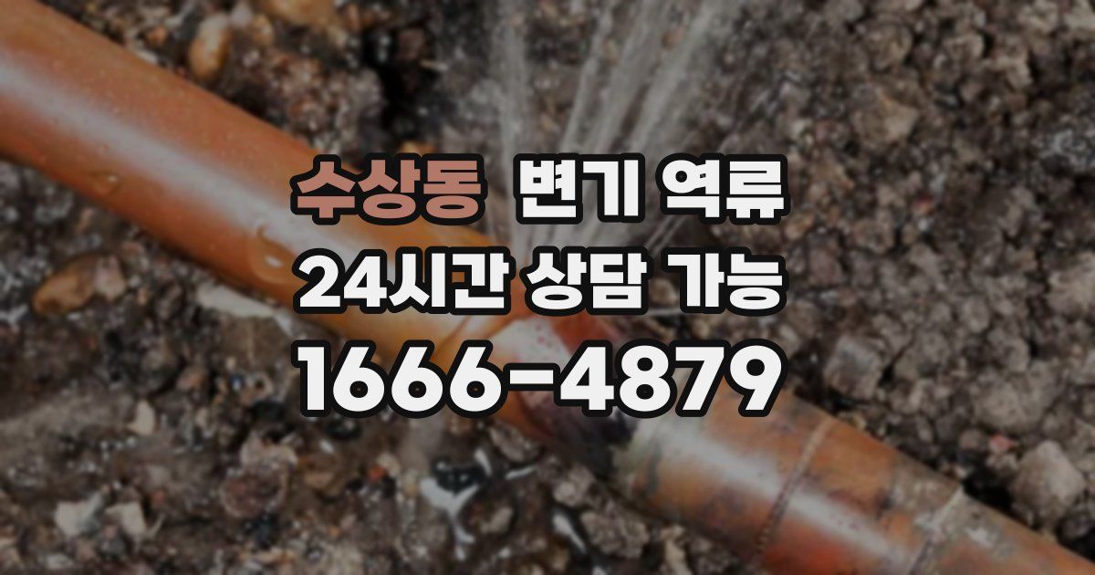 수상동 변기 역류