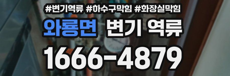 와룡면 변기 역류