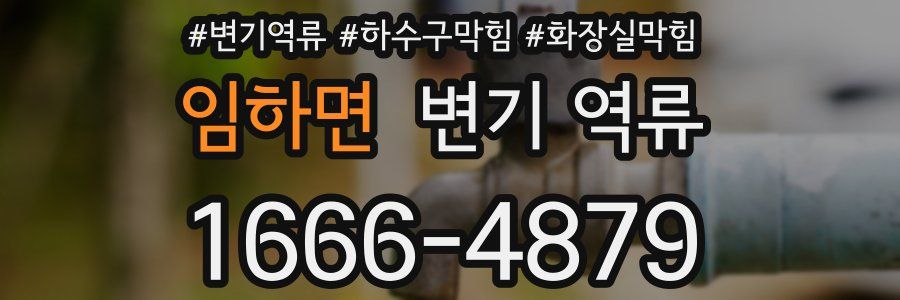 임하면 변기 역류