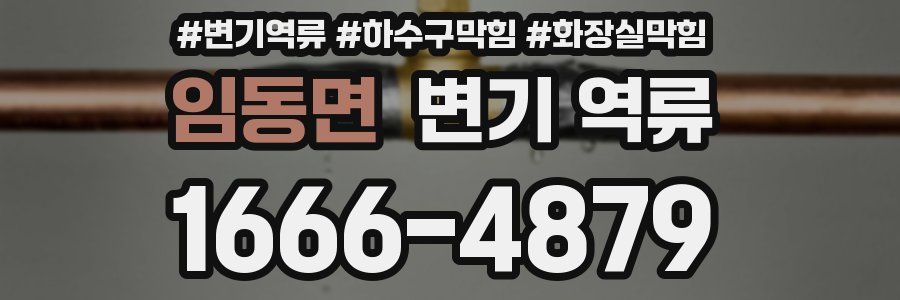 임동면 변기 역류