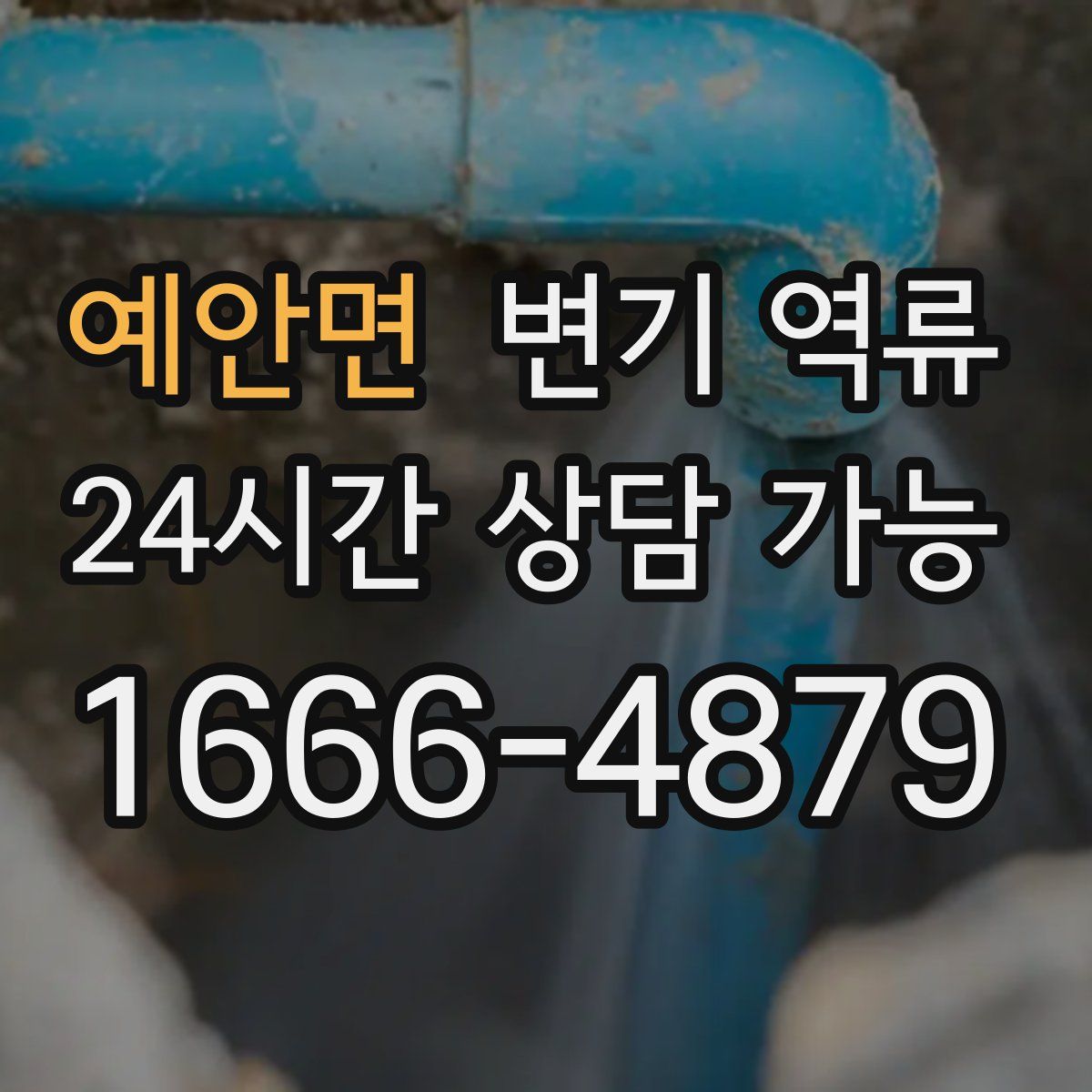 예안면 변기 역류