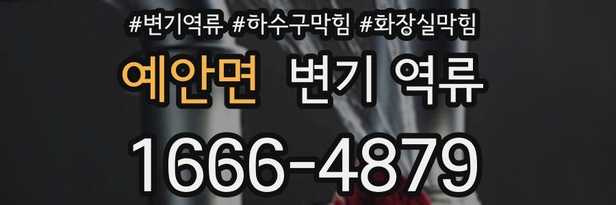 예안면 변기 역류