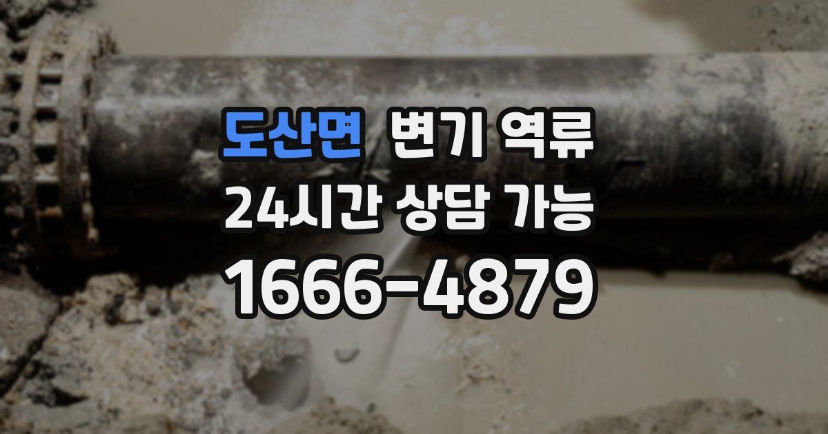 도산면 변기 역류