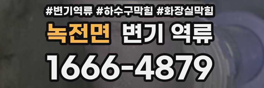 녹전면 변기 역류