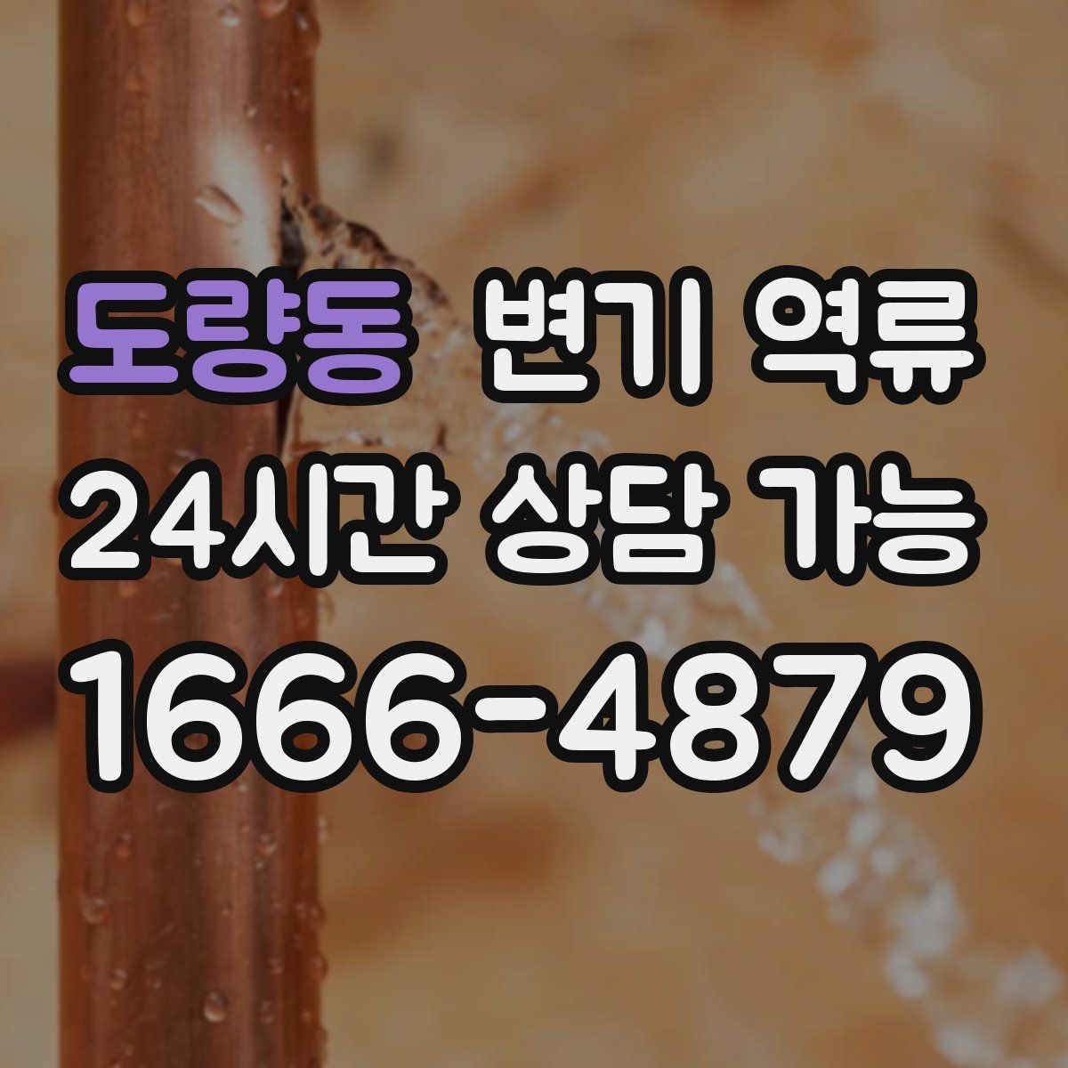 도량동 변기 역류