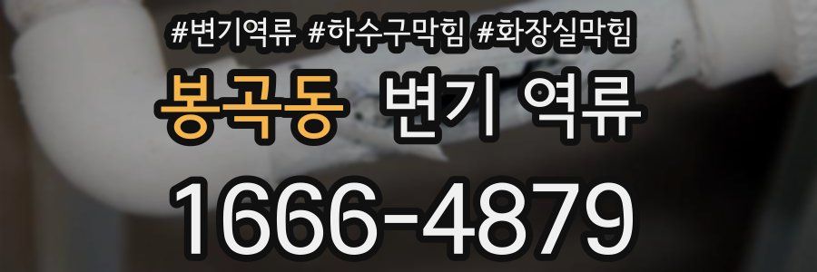 봉곡동 변기 역류