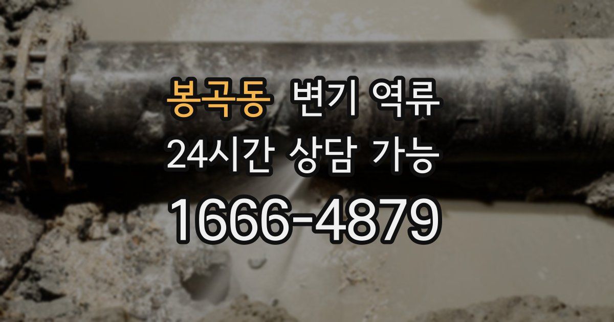 봉곡동 변기 역류